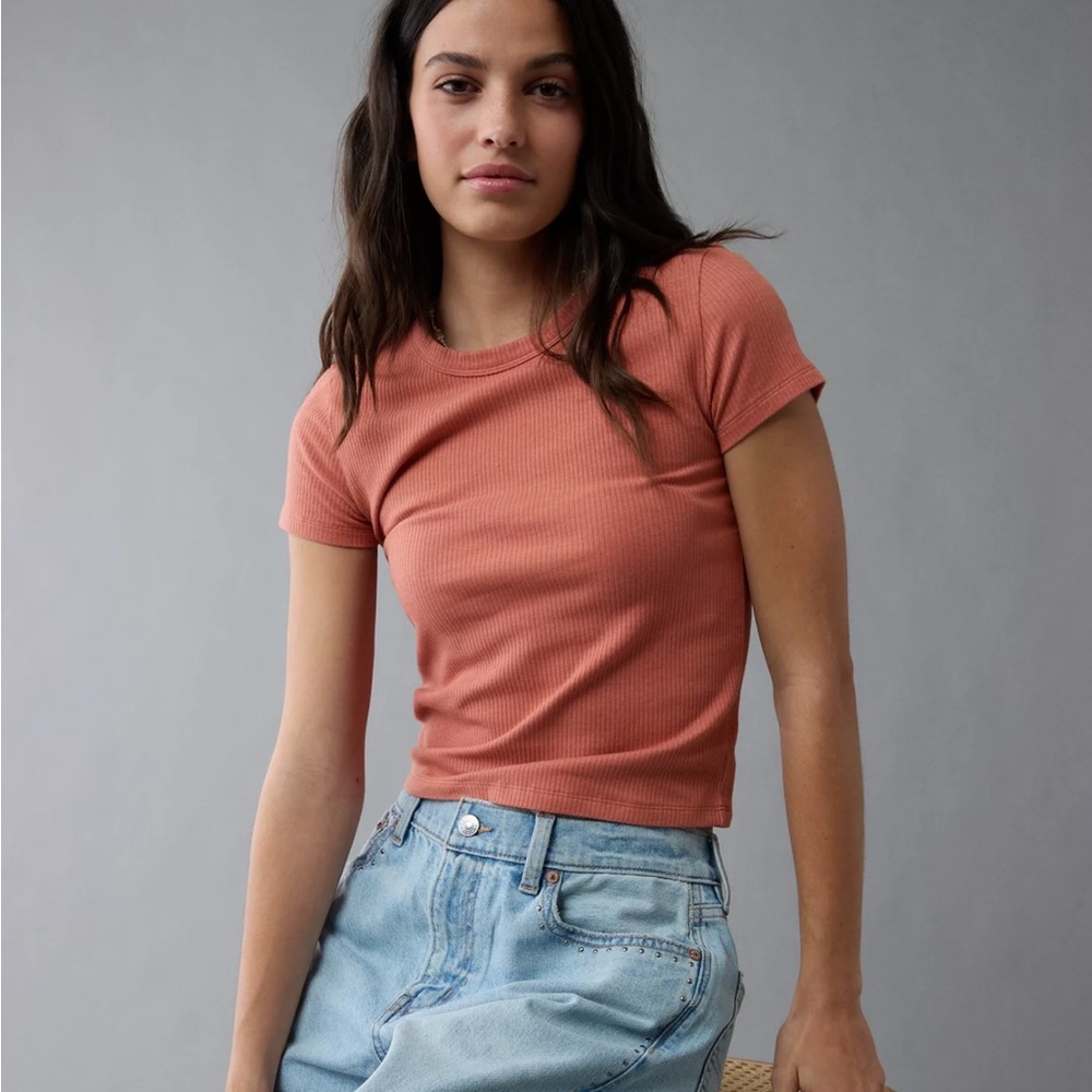 American Eagle Outfitters Orange Fitted Crop T-Shirt